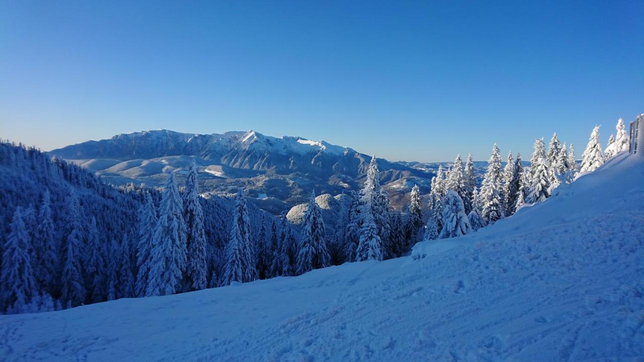 Apartament 2706 Alpin Resort, Etaj 7, Poiana Braşov Dış mekan fotoğraf