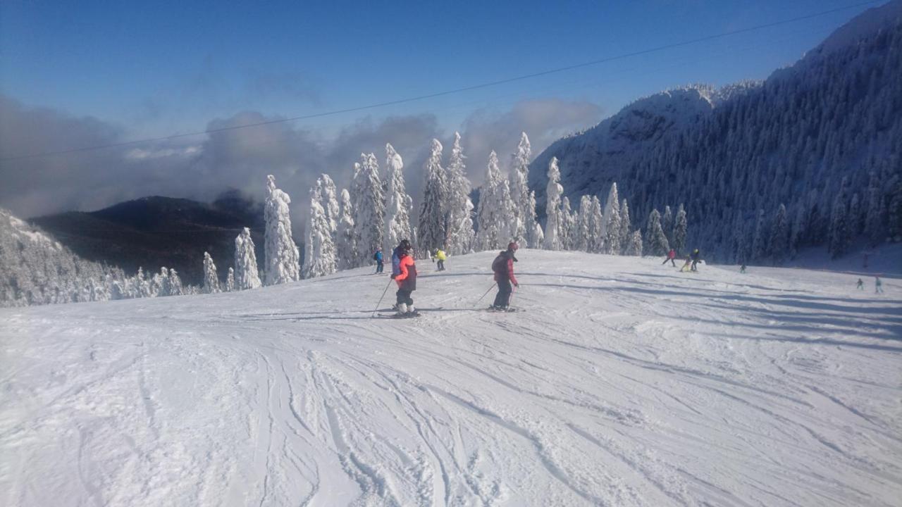 Apartament 2706 Alpin Resort, Etaj 7, Poiana Braşov Dış mekan fotoğraf