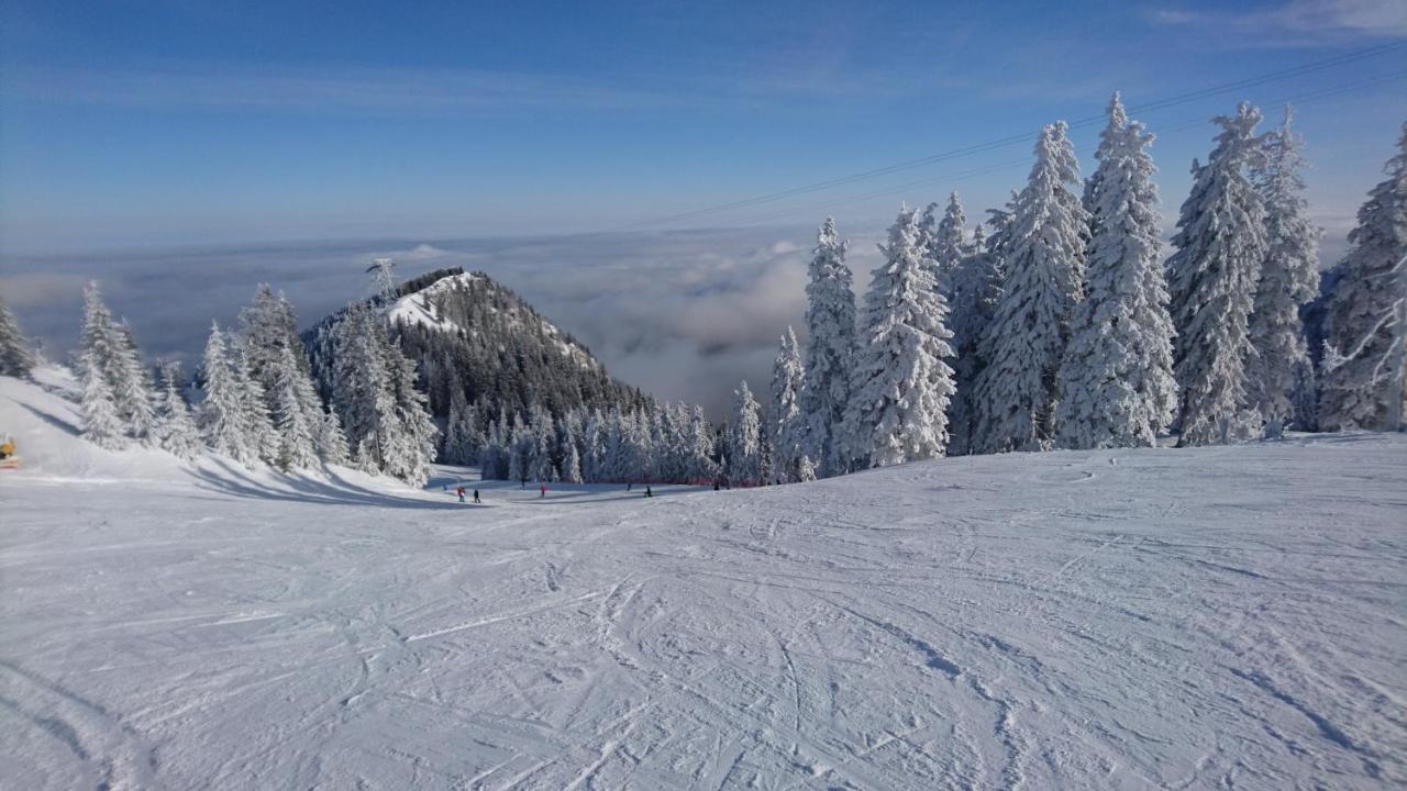 Apartament 2706 Alpin Resort, Etaj 7, Poiana Braşov Dış mekan fotoğraf