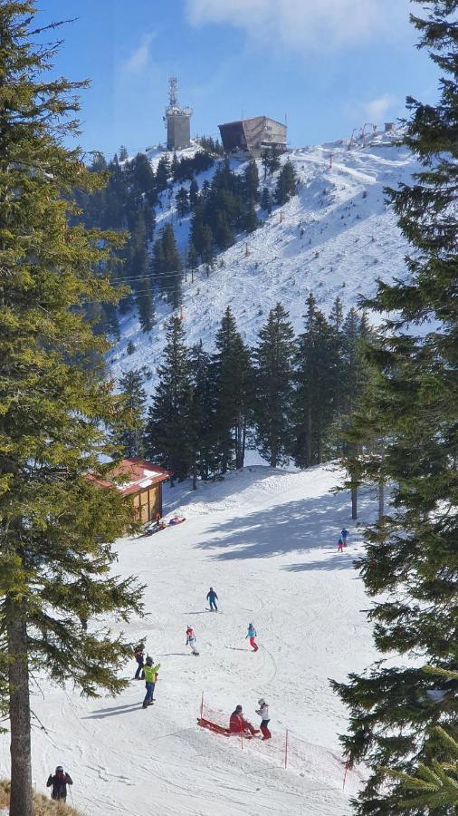 Apartament 2706 Alpin Resort, Etaj 7, Poiana Braşov Dış mekan fotoğraf